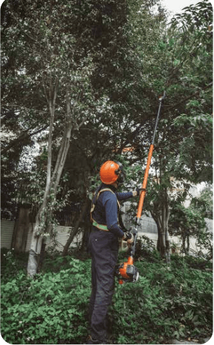 Karyagrup web site tasarım